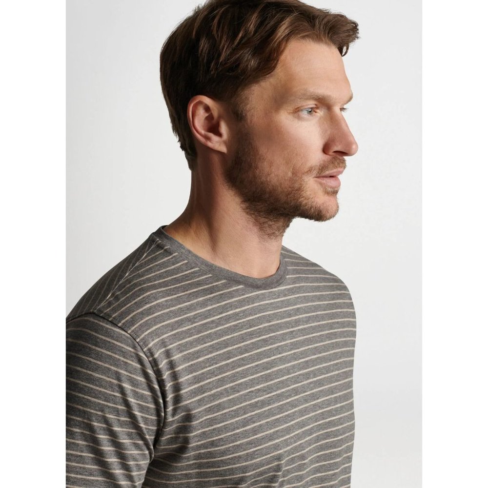 Peter Millar Colt Stripe T-Shirt Men’s XL Crown Crafted Gale New NWT $148 - Picture 4 of 13
